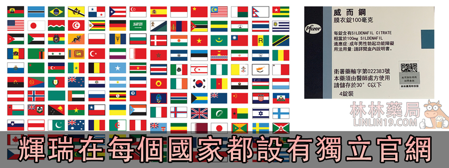 輝瑞在各個國家都設立官方網站，因為它是世界頂級品牌